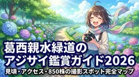 葛西親水緑道のアジサイ鑑賞ガイド2026|見頃・アクセス・850株の撮影スポット完全マップ